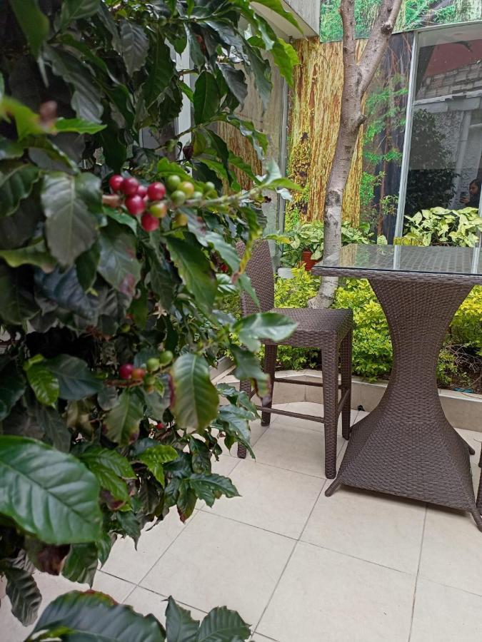 Hotel Marbella Chico ボゴタ エクステリア 写真