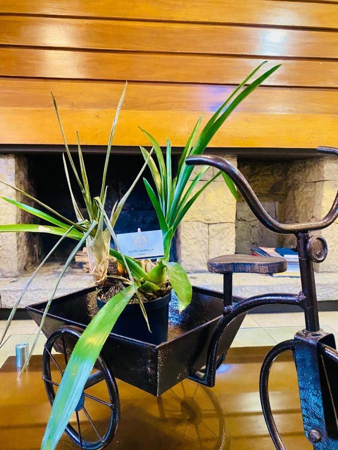 Hotel Marbella Chico ボゴタ エクステリア 写真